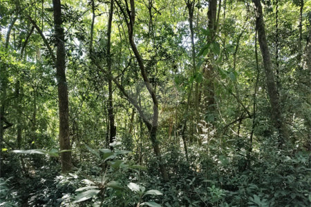 Sítio à venda com 3 quartos, sendo 1 suíte,  em Da Barra, Salto de Pirapora, SP