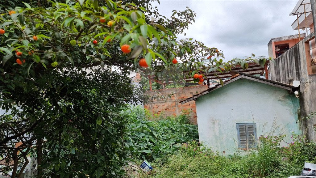 Terreno à venda em Lauzane Paulista, São Paulo, SP
