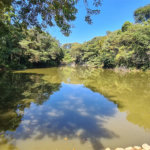Casa à venda com 3 suítes no condomínio Terras de São Francisco, Vinhedo - SP