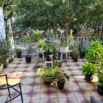 Casa à venda com 3 quartos em Jardim Bonfiglioli, São Paulo, SP