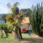 Casa Térrea à venda com 3 quartos, sendo 1 suíte,  em Serra da Cantareira, Mairiporã, SP