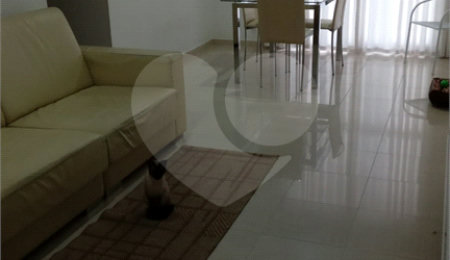 Apartamento à venda com 3 quartos, sendo 1 suíte,  em Vila Mariana, São Paulo, SP