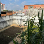 Casa Térrea à venda com 3 quartos, sendo 2 suítes, em São João Clímaco, São Paulo, SP