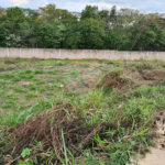 Terreno à venda em Bosque, Vinhedo, SP