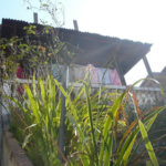 Sobrado à venda com 2 quartos em Vila Guilherme, São Paulo, SP