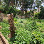 Terreno à venda em Jardim do Carmo, Araraquara, SP