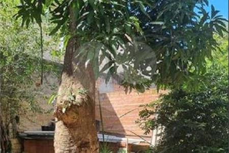 Terreno à venda em Vila Mazzei, São Paulo, SP
