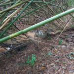 Terreno à venda em Parque dos Cafezais III, Itupeva, SP