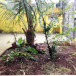 Casa Térrea à venda com 3 quartos, sendo 1 suíte, em Vila Cordeiro, São Paulo, SP