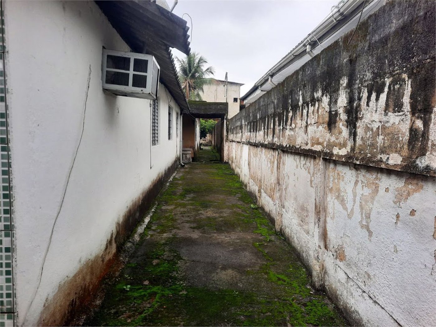 Terreno de 503 m² com Casa à Venda em Vicente de Carvalho | Excelente Oportunidade para Investidores Próximo ao Futuro Túnel Santos–Guarujá