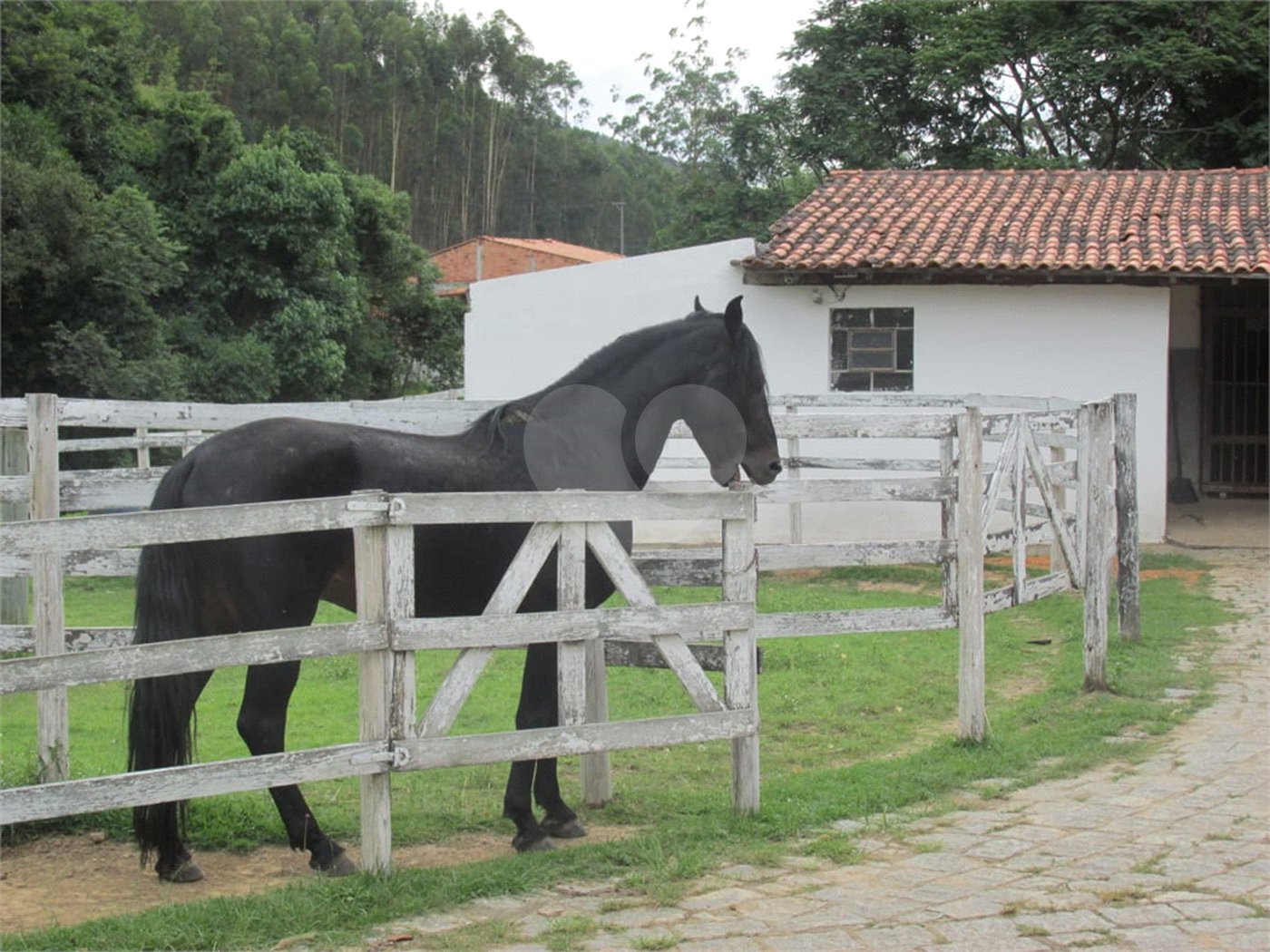 Sítio à venda com 4 suítes no Centro, Salesópolis, SP