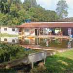 Chácara à venda com 5 quartos em Rio Acima, Mairiporã, SP