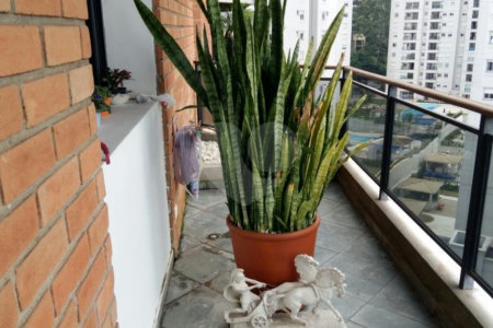 Apartamento à venda com 3 quartos, sendo 2 suítes, em Jardim Parque Morumbi, São Paulo, SP