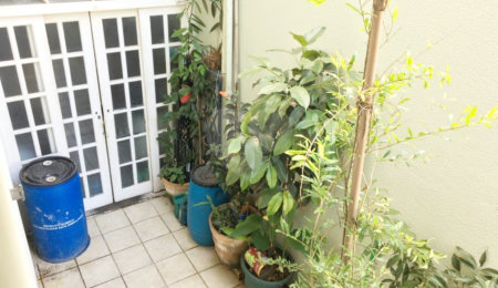 Casa Térrea à venda com 4 quartos, sendo 1 suíte,  em Vila Monumento, São Paulo, SP
