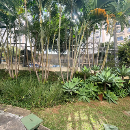 Apartamento à venda com 3 quartos, sendo 1 suíte, em Vila Amélia, São Paulo, SP