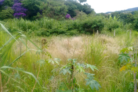 Loteamento à venda em Jardim Paulista, Atibaia, SP