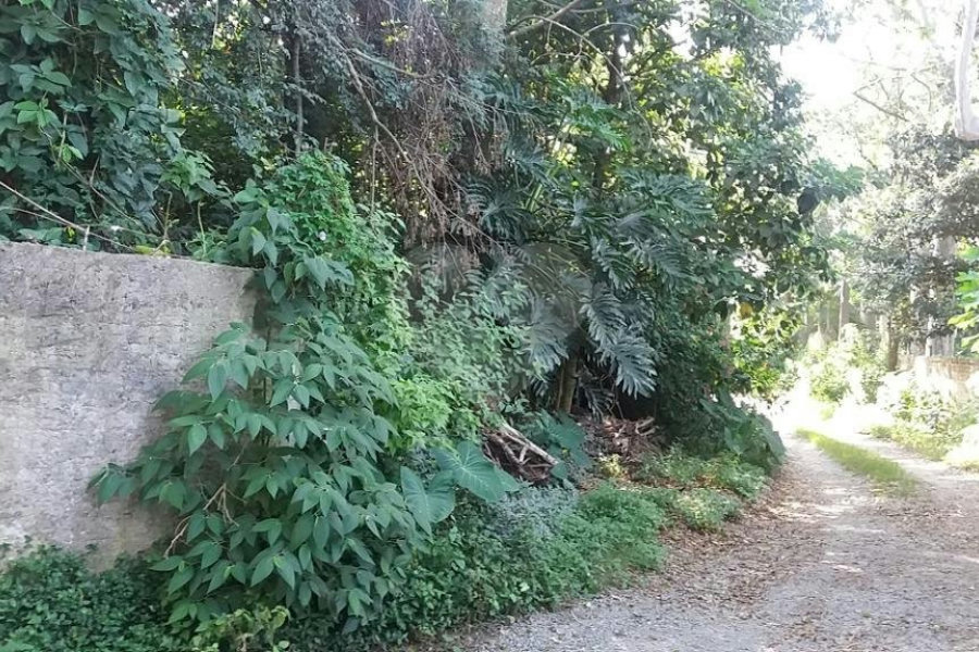 Terreno à venda em Tremembé, São Paulo, SP