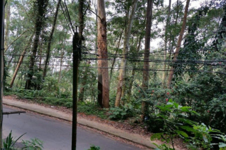 Terreno à venda em Tucuruvi, São Paulo, SP