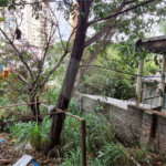 Sobrado à venda com 3 quartos em Santana, São Paulo, SP