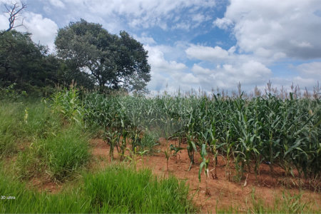 Terreno à venda em Ponte Alta, Atibaia, SP