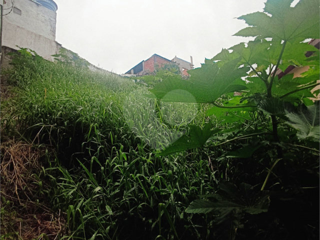 Terreno à venda em Tremembé, São Paulo, SP