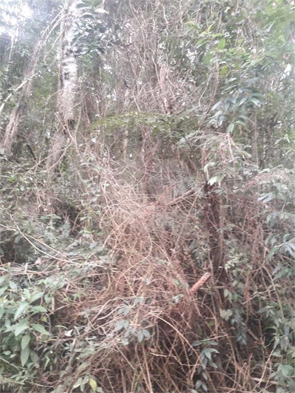 Terreno à venda em Suasalito, Mairiporã, SP