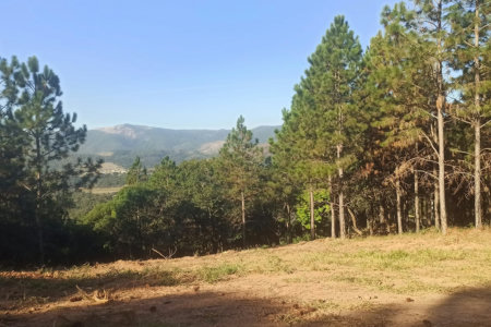 Fazenda Elisa - Fase 3