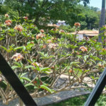 Sontag Empresarial -Jardim Sontag, Salto/SP..