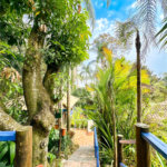 Casa à venda com 3 suítes no condomínio São Joaquim, Vinhedo - SP