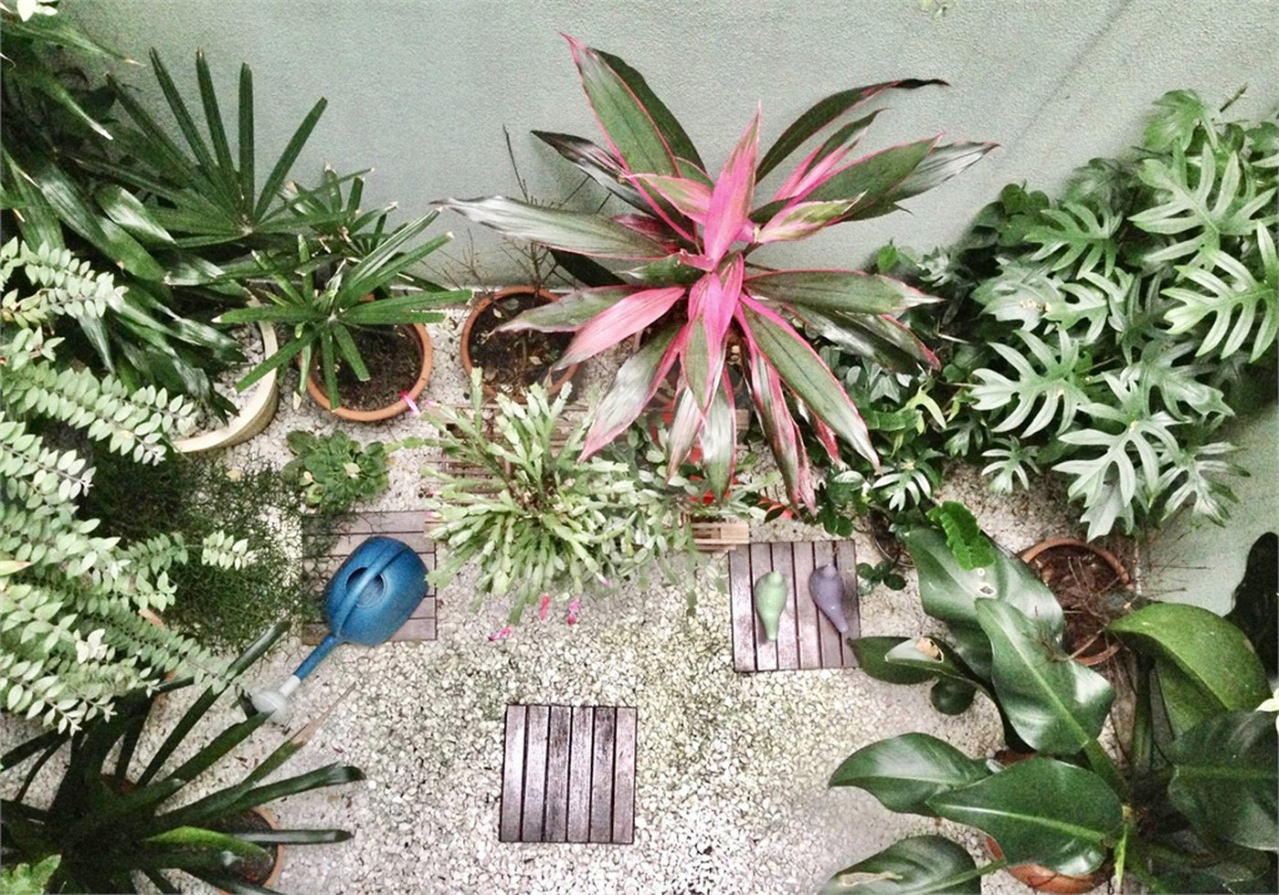 Casa à venda com 3 quartos, sendo 2 suítes, em Planalto Paulista, São Paulo, SP