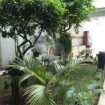 Casa à venda com 3 suítes em Tremembé, São Paulo, SP