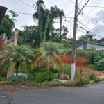 Terreno à venda em Vila Albertina, São Paulo, SP