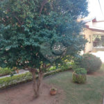 Casa à venda com 4 quartos, sendo 3 suítes, no Centro, Vinhedo, SP