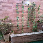 Casa à venda com 3 quartos, sendo 1 suíte, no condomínio Residencial Grape Village, Vinhedo - SP
