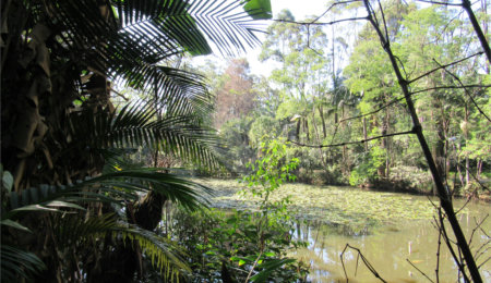Terreno à venda em Chácara Flora, São Paulo, SP