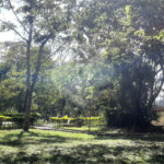 Terreno à venda em Serra da Cantareira, Mairiporã, SP