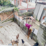 Sobrado à venda com 3 quartos em Tremembé, São Paulo, SP