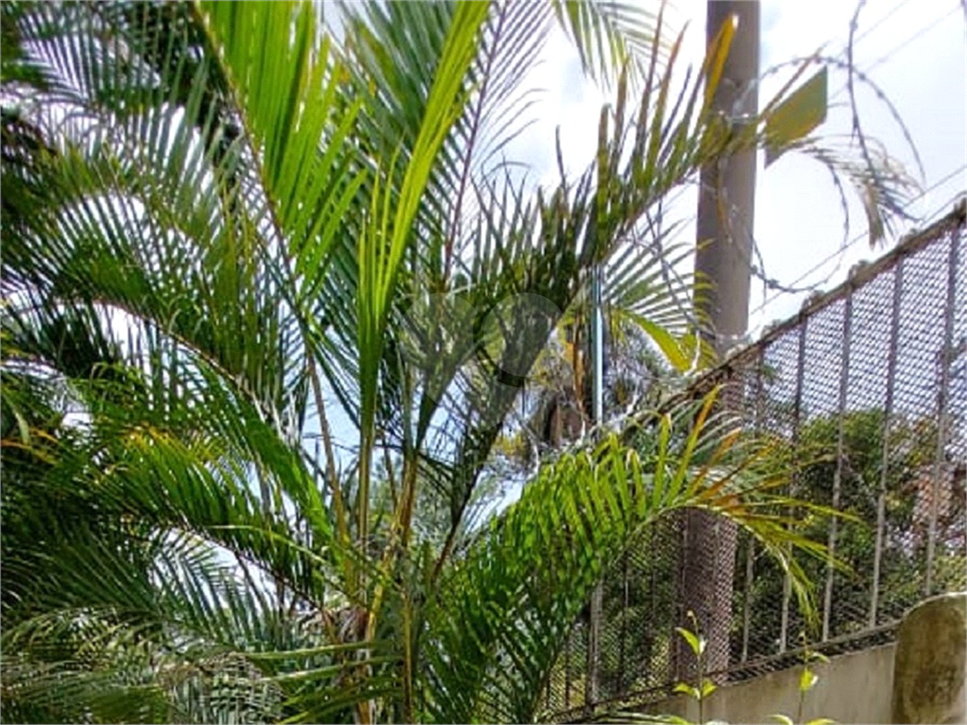 Sobrado à venda com 3 quartos, sendo 1 suíte, em Parque Jabaquara, São Paulo, SP