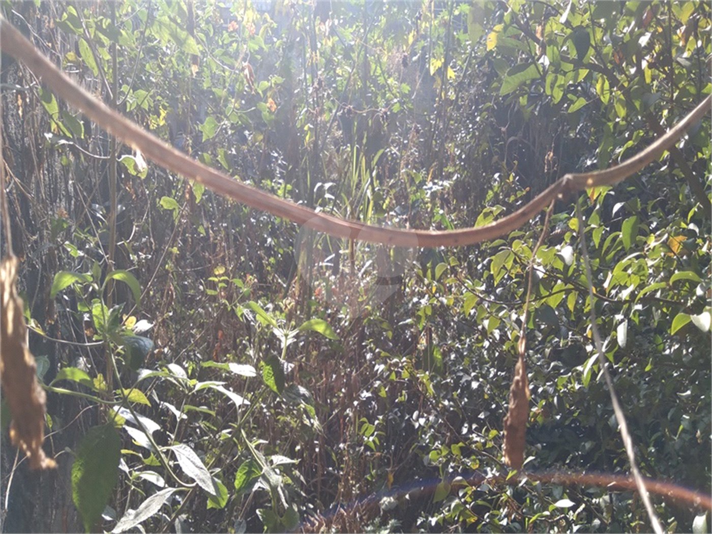 Sobrado à venda com 3 quartos, sendo 1 suíte, em Santa Teresinha, São Paulo, SP