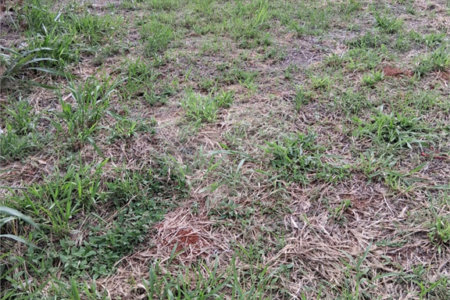 Terreno à venda em Mato Dentro, Mairinque, SP
