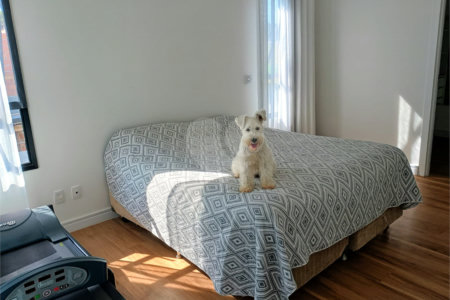 Casa à venda ou para alugar com 4 suítes no Centro, Jambeiro, SP