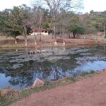 Sítio à venda com 2 quartos no Centro, Descalvado, SP
