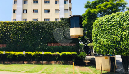 Apartamento à venda com 2 quartos em Jardim Iracema, São Paulo, SP