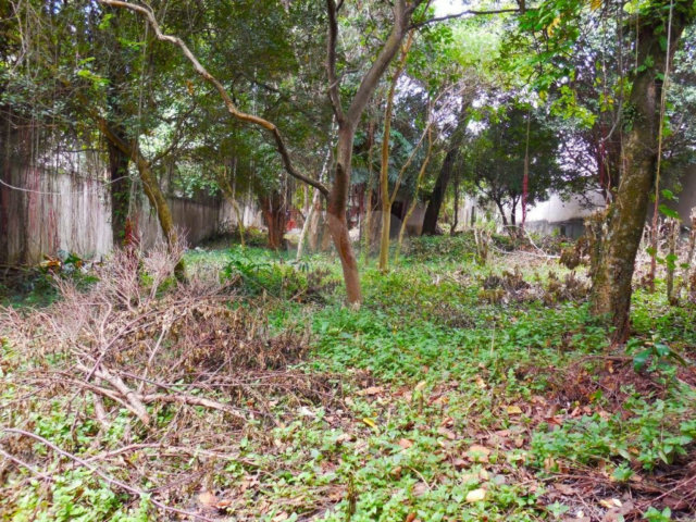 Terreno à venda em Alto da Boa Vista, São Paulo, SP