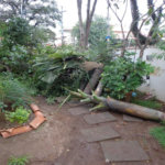 Casa à venda com 4 quartos, sendo 2 suítes, em Jardim Bonfiglioli, São Paulo, SP