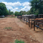 Terreno à venda em Parque das Bandeiras 2, Indaiatuba, SP
