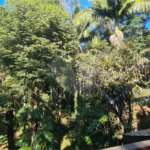 Casa à venda com 4 suítes em Serra da Cantareira, Mairiporã, SP