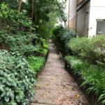 Apartamento à venda com 3 quartos, sendo 1 suíte, em Jardim Ampliação, São Paulo, SP