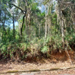 Terreno à venda no condomínio Sausalito, Mairiporã - SP