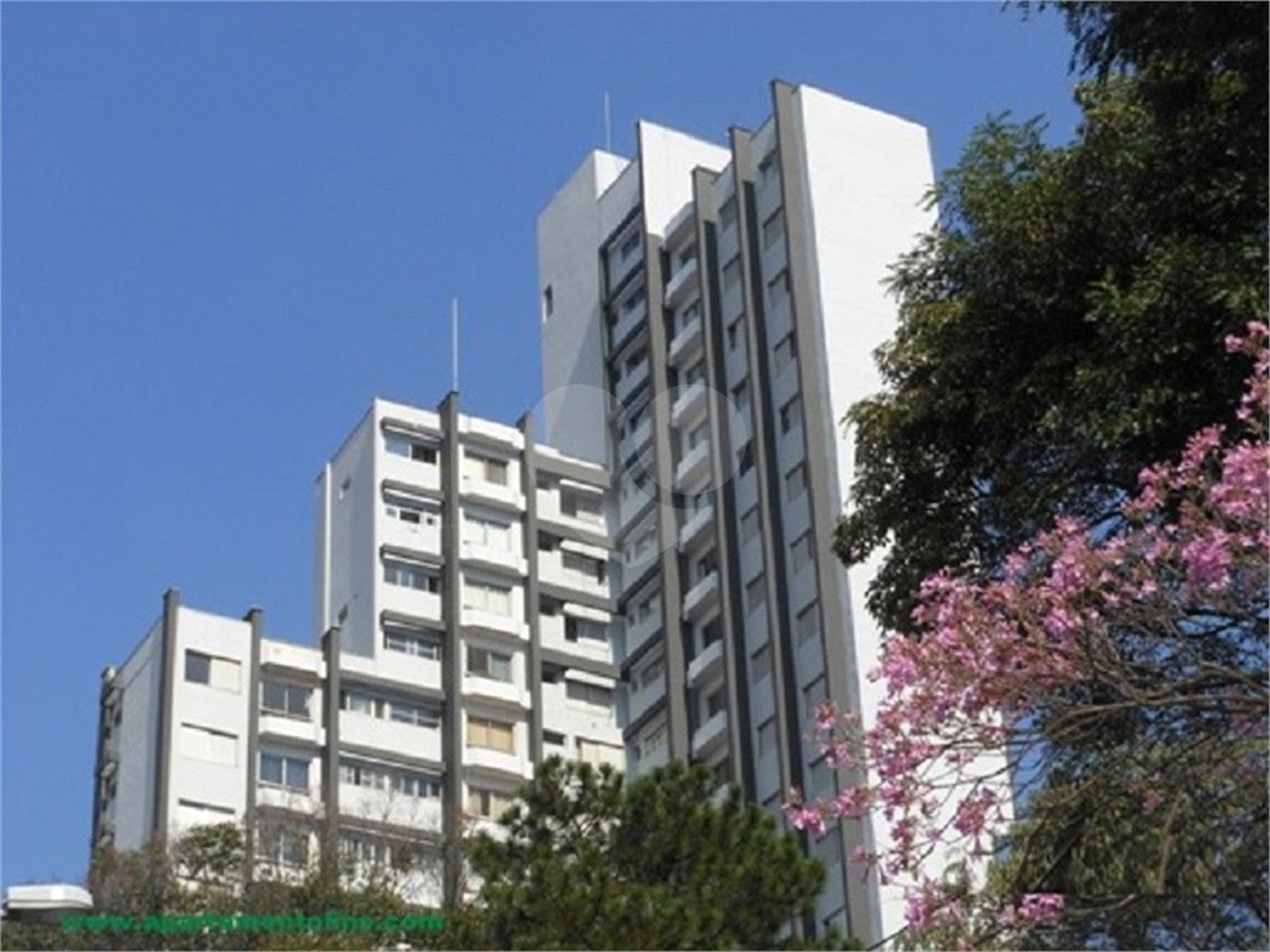 Apartamento à venda com 1 quarto em Cambuci, São Paulo, SP
